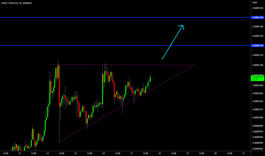 🔥 SHIB Bullish Triangle: Next Leg Up