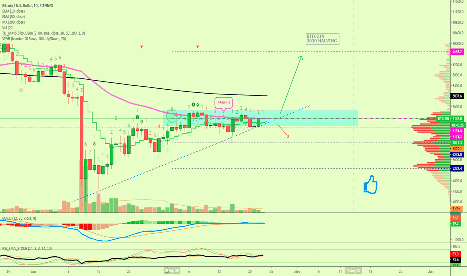 Bitcoin Decision Point In Reverse, Bull Before Bear?