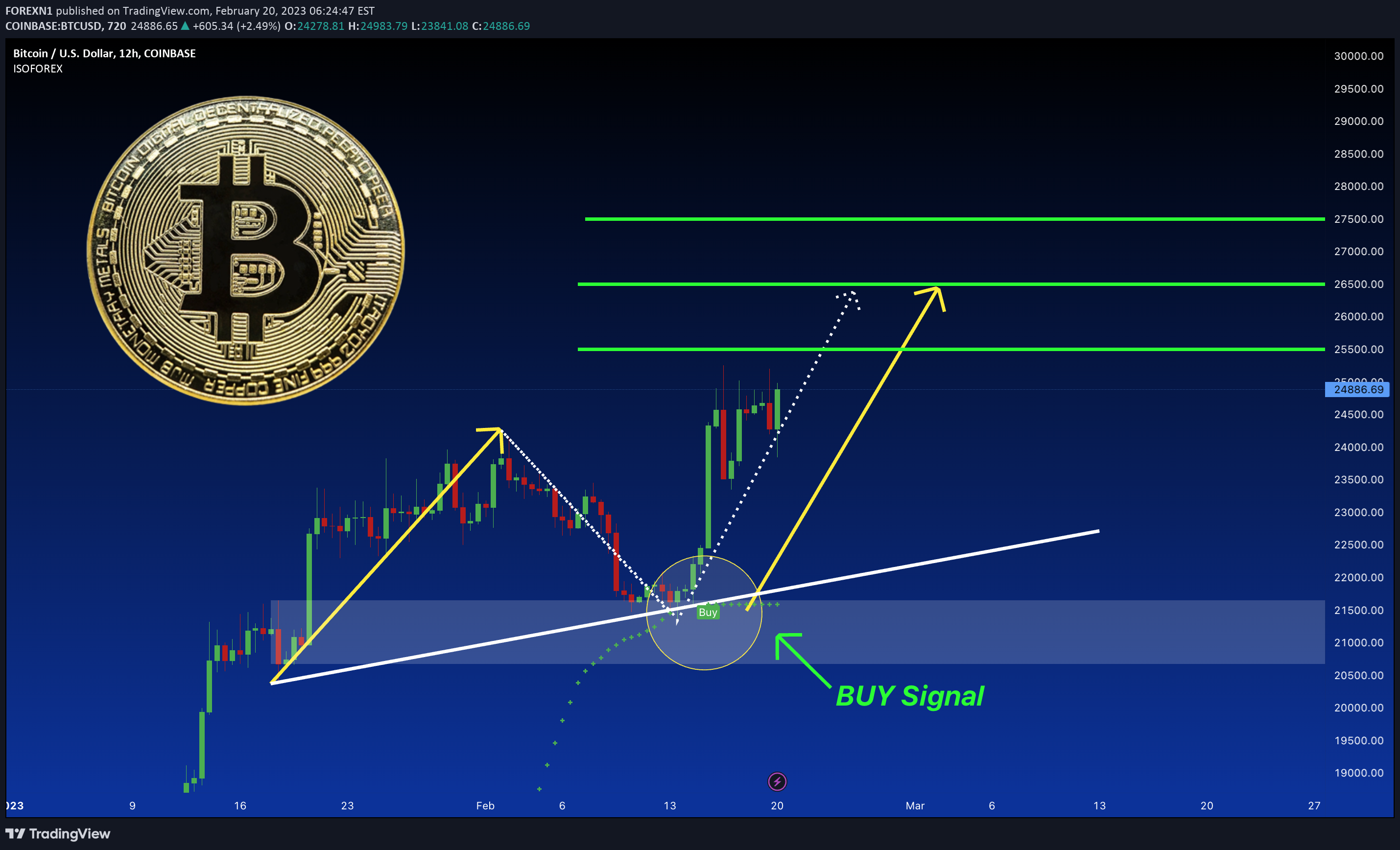 COINBASE:BTCUSD Idea Chart Image by FOREXN1