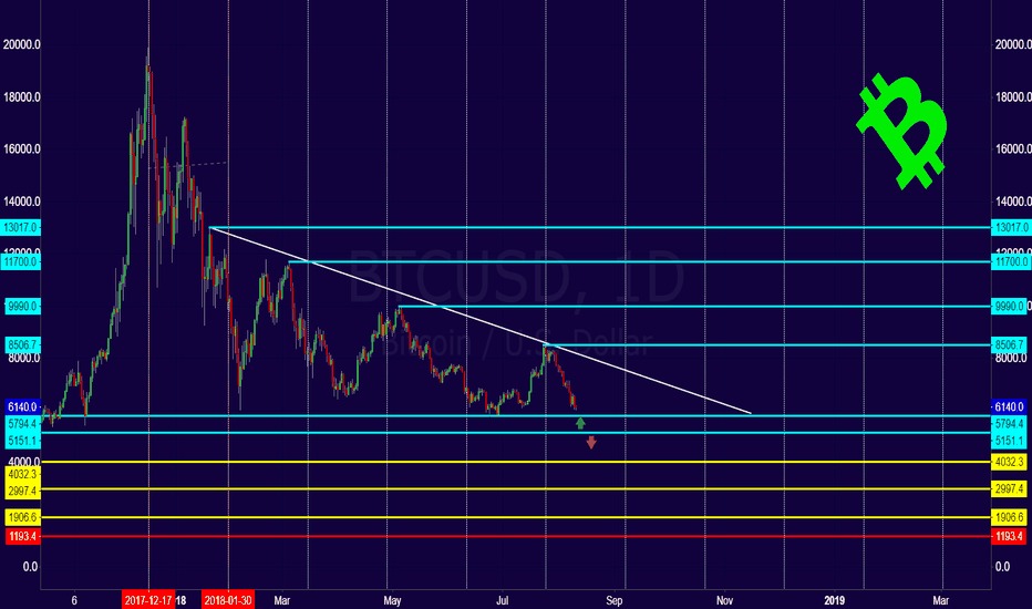 BTC What Your available options?