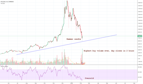 "Crypto isn't predictable"