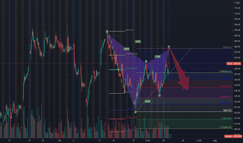 Cypher now butterfly $TSLA 