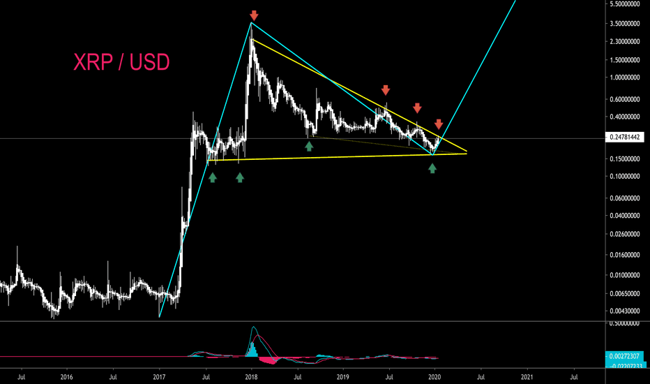 IT'S XRP 's TIME TO SHINE - CryptoManiac101