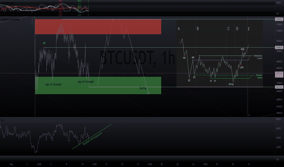 Sign of strength? (Wyckoff accumulation?)