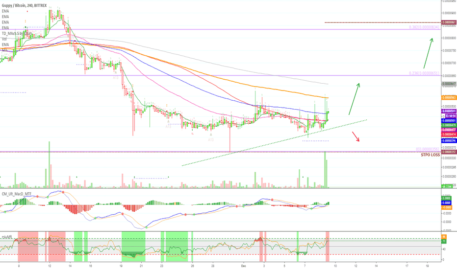 Guppy Goes Bullish (70%+ Profits Potential)