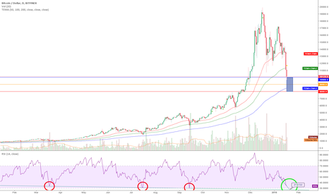 Bitcoin and the RSI history