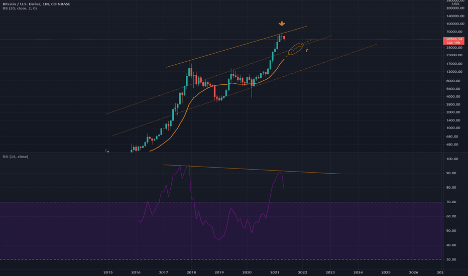 BITCOIN Bearish RSI Divergence Monthly IMPORTANT