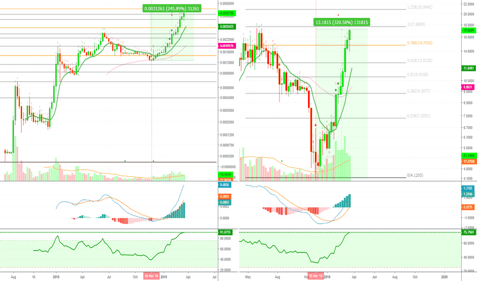Binance Coin (BNB) & Binance Altcoins Already On A Bull Run