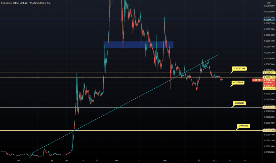 We Remain Bearish on Ethereum's Dog