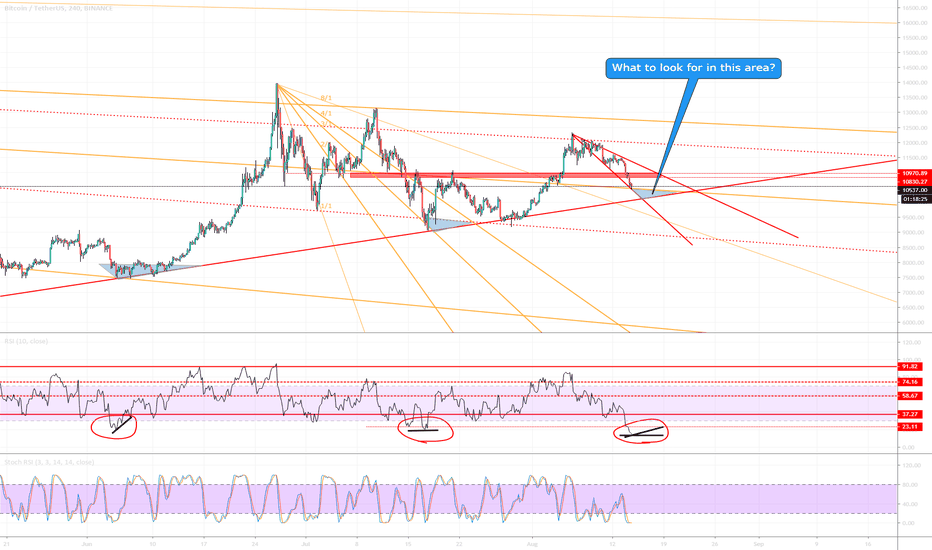 BTC (Prj.2019.P03.E12). 1 of many on what to look for?