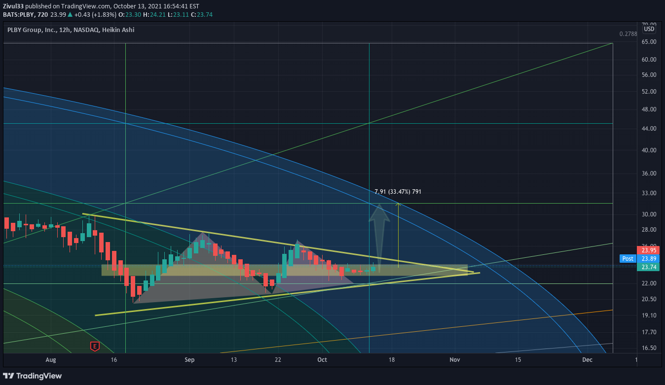 NASDAQ:PLBY Idea Chart Image by Zivul33