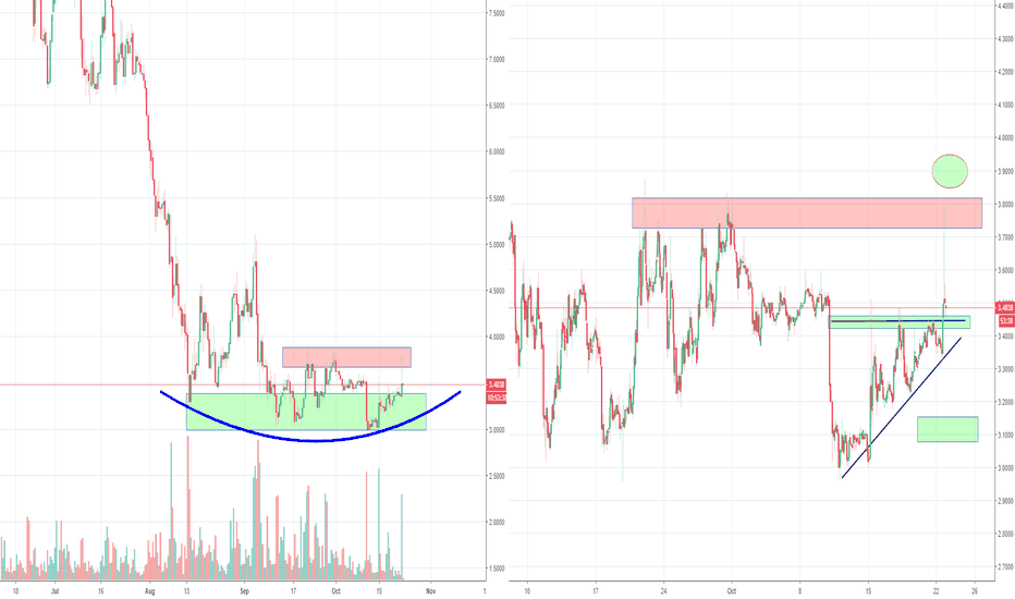 OMG long term bottom? OmiseGo