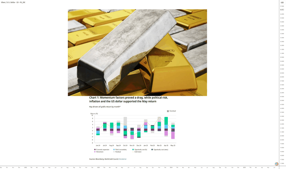 Precious metals: rotation towards silver, platinum and palladium