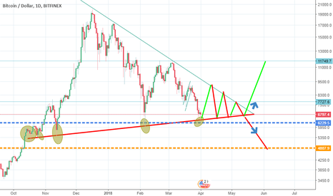 BTC bounce was predicted , what is next ?