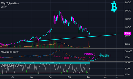 Bitcoin Update Feb 4