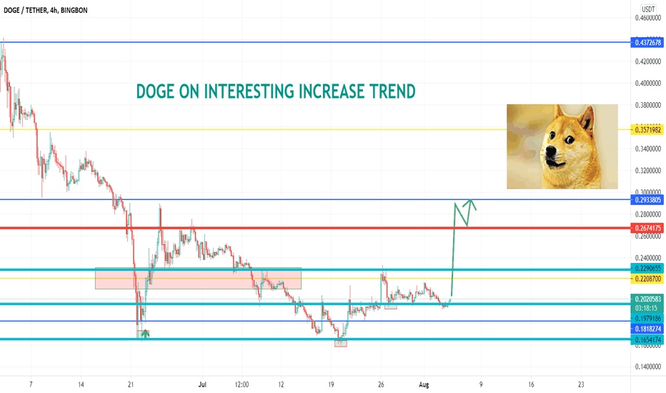 DOGE ON INTERESTING ZONE FOR INCREASE TREND
