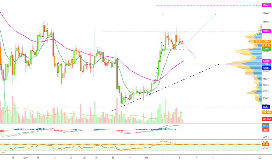 Bitcoin Bullish Flag | Target & Support | $10.2k or $11.3k?