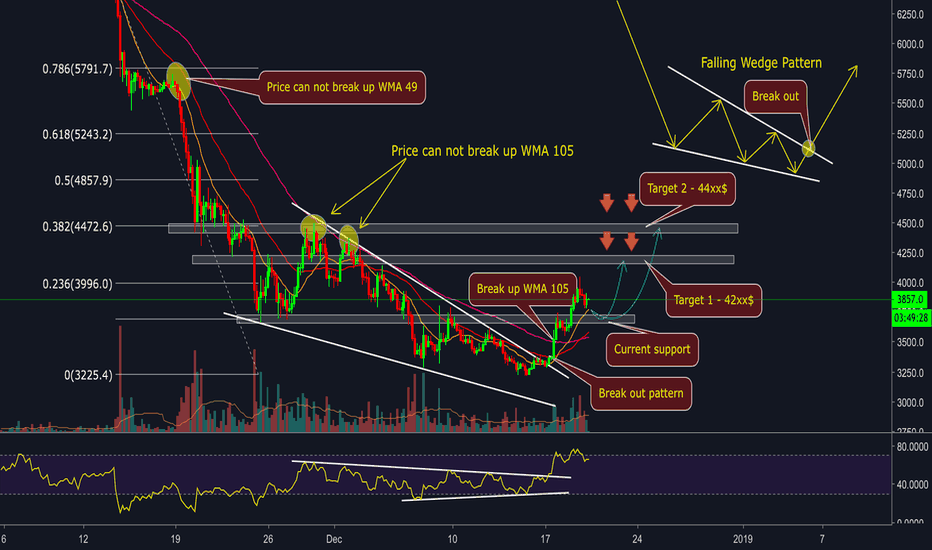 BITCOIN - Last bullish run