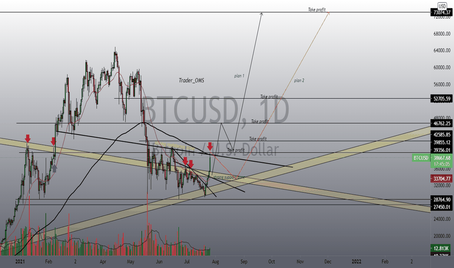 BTC struggling out of the swamp....Target 40000$, 52000$, 73000$
