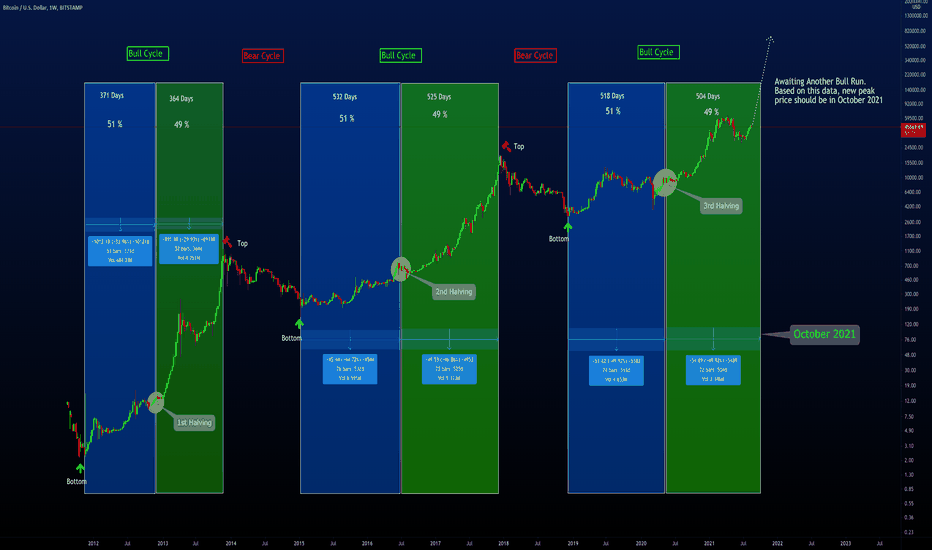 Comparing Bitcoin Bull/Bear Cycle with Bitcoin halving