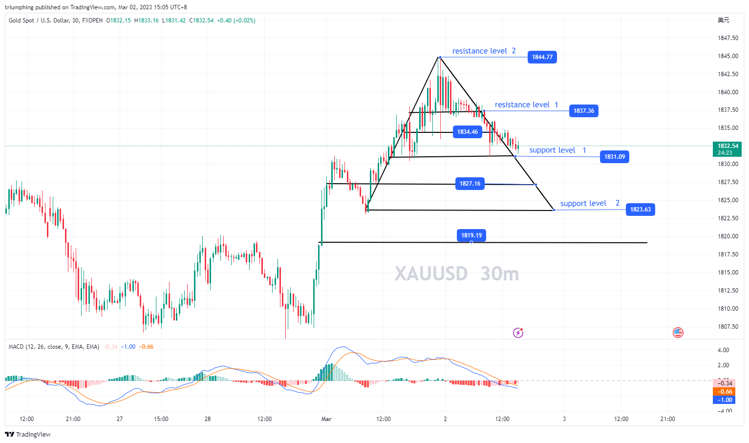 FXOPEN:XAUUSD Chart Image by triumphing