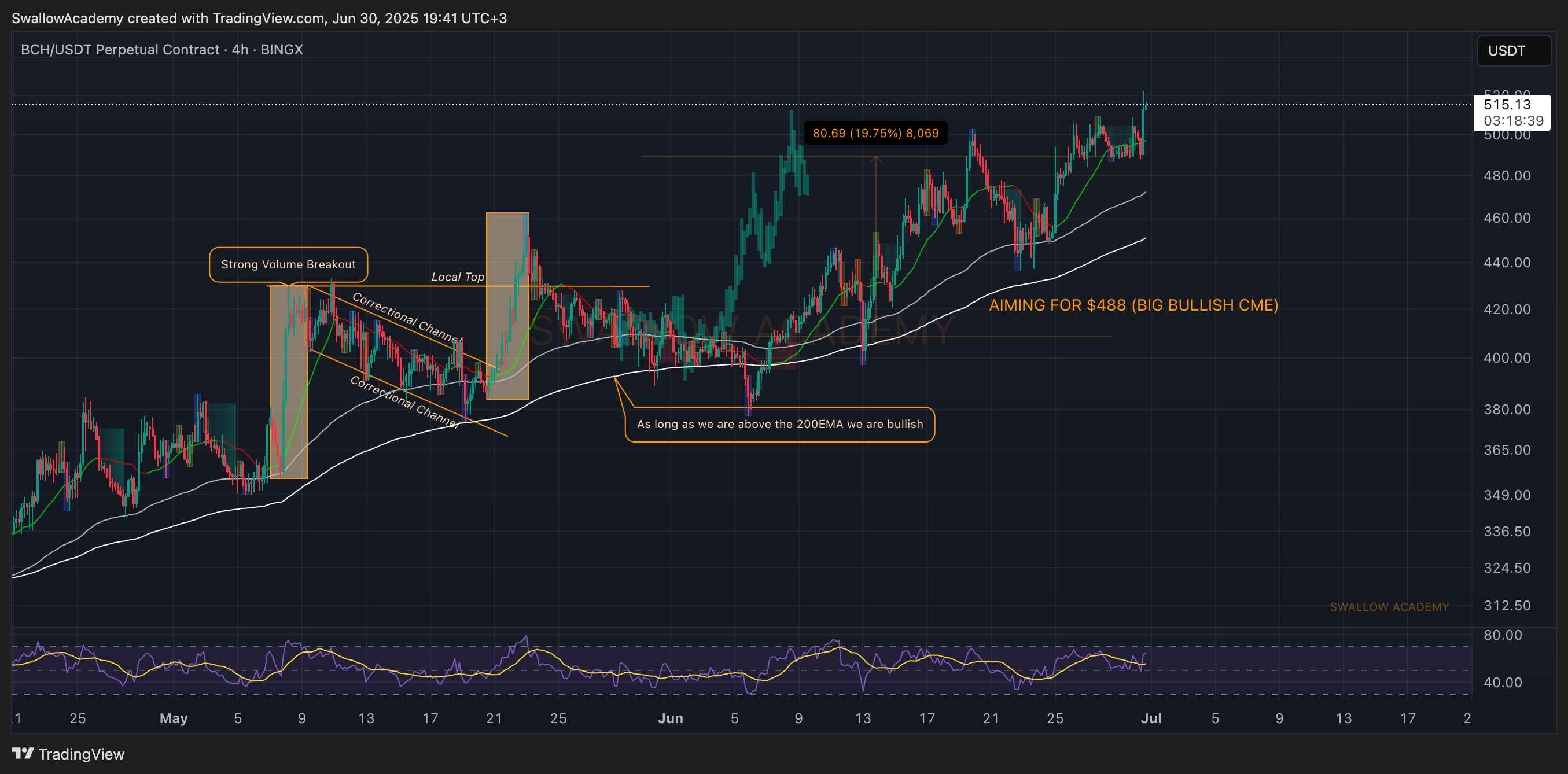 BINGX:BCHUSDT.P Chart Image by SwallowAcademy