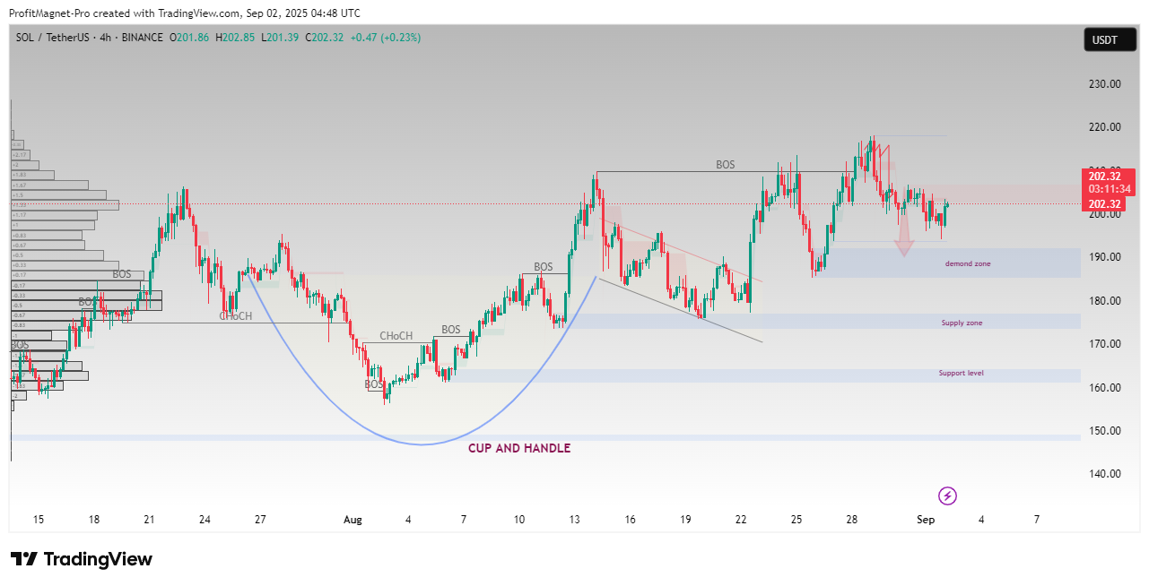 BINANCE:SOLUSDT Chart Image by ProfitMagnet-Pro