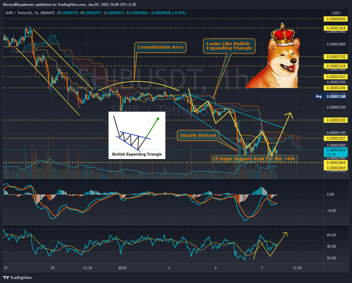 BINANCE:SHIBUSDT Chart Image by BlessedBlasphemer