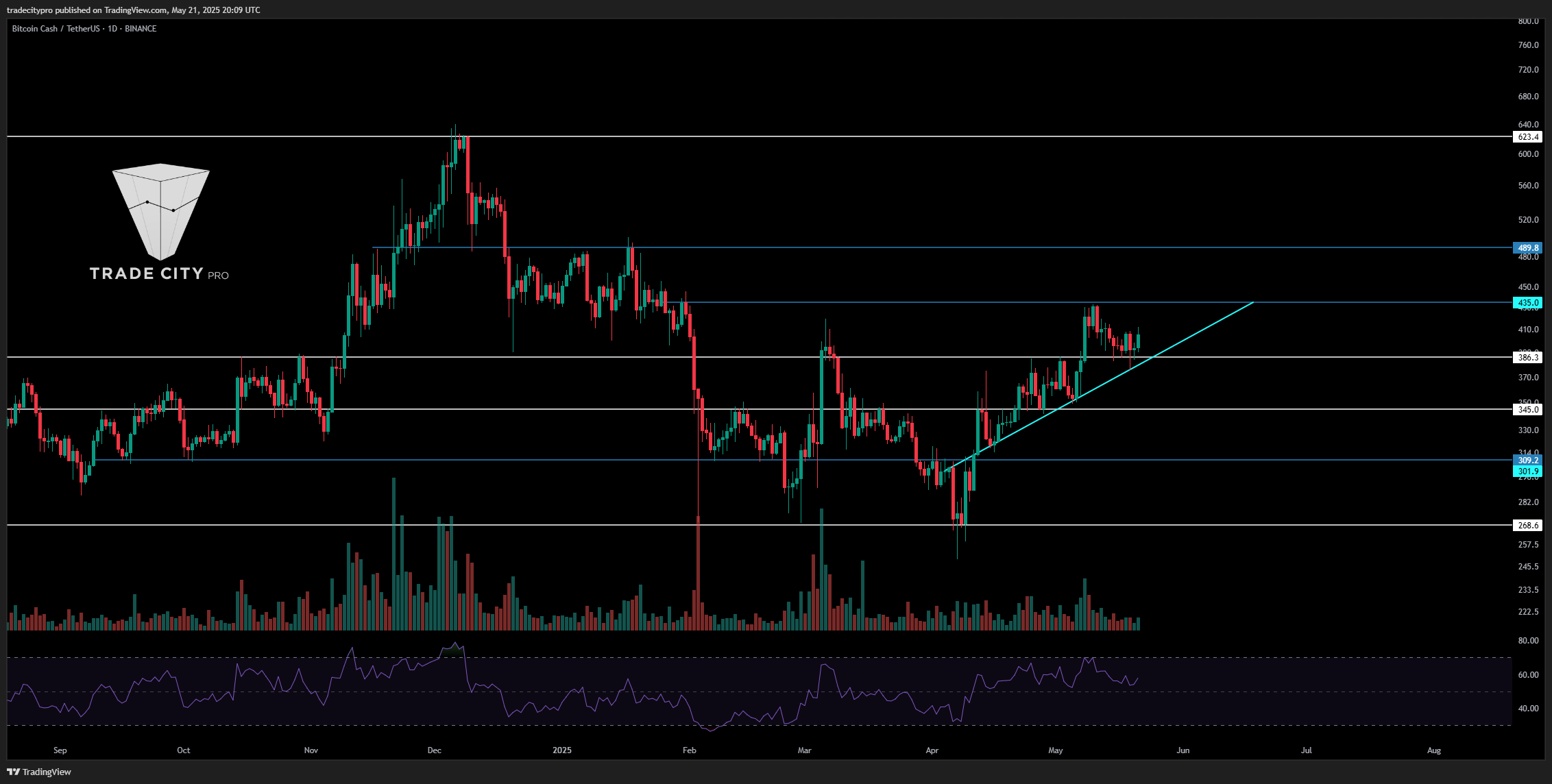 BINANCE:BCHUSDT Chart Image by tradecitypro
