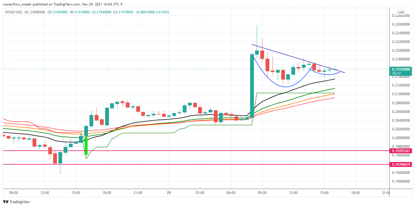 COINBASE:DOGEUSD Chart Image by moneyflow_trader