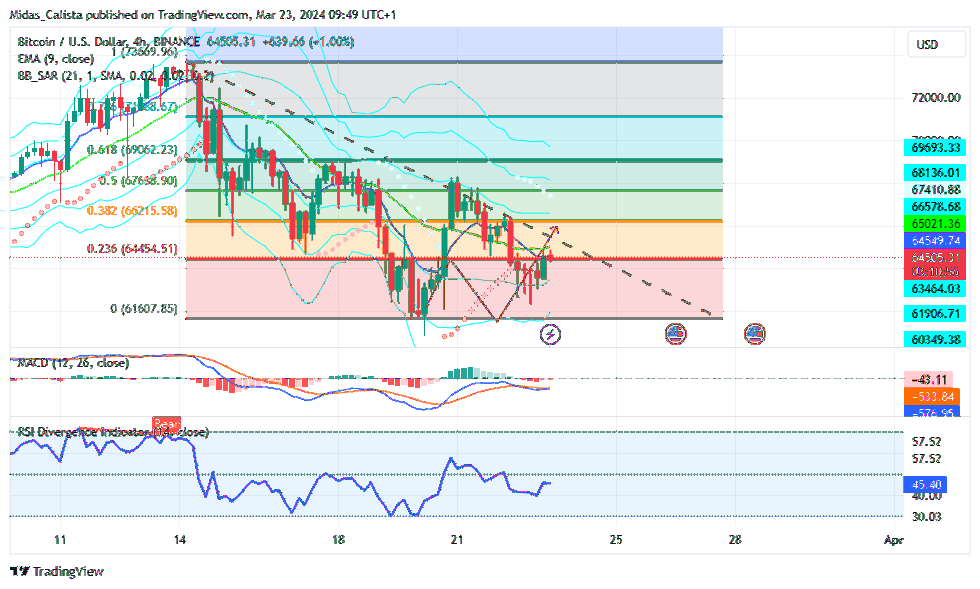 BINANCE:BTCUSD Chart Image by Midas_Calista