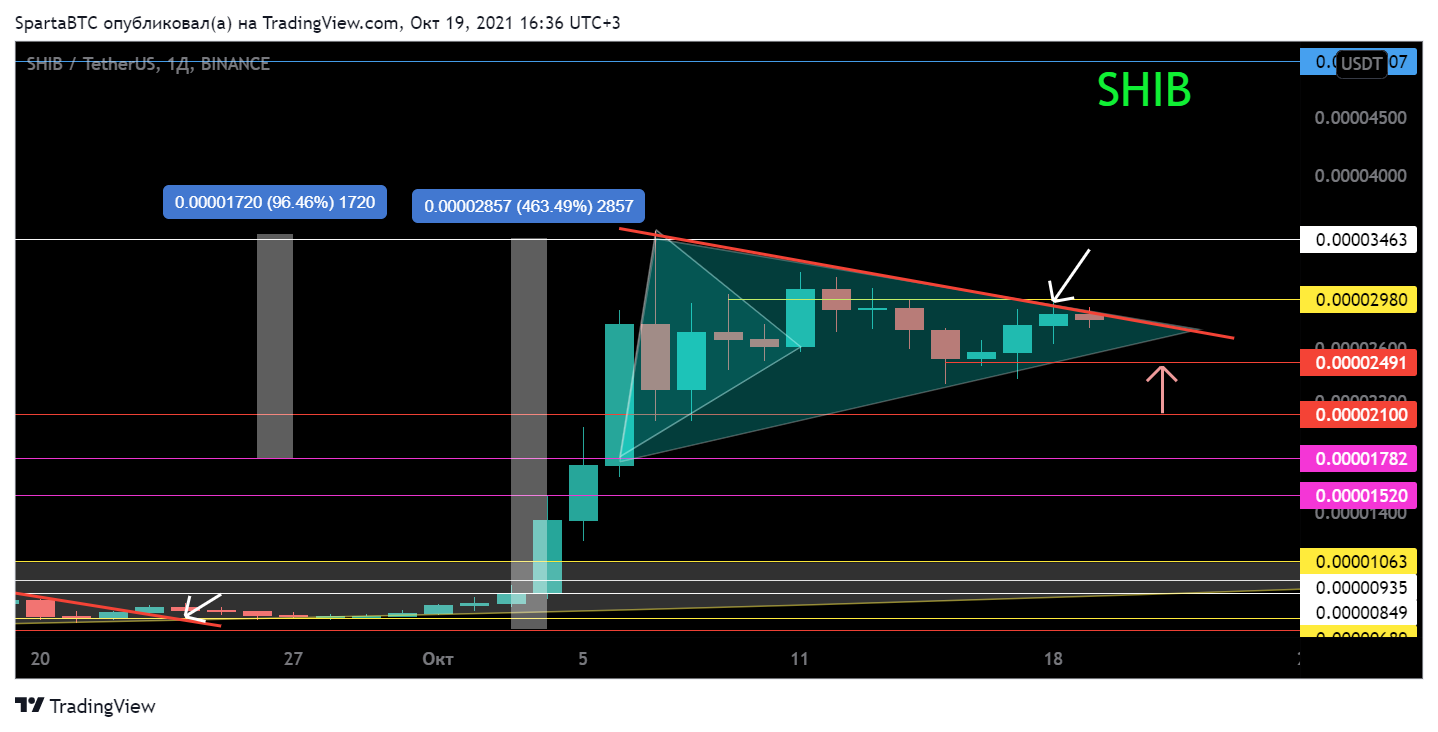 BINANCE:SHIBUSDT Chart Image by SpartaBTC