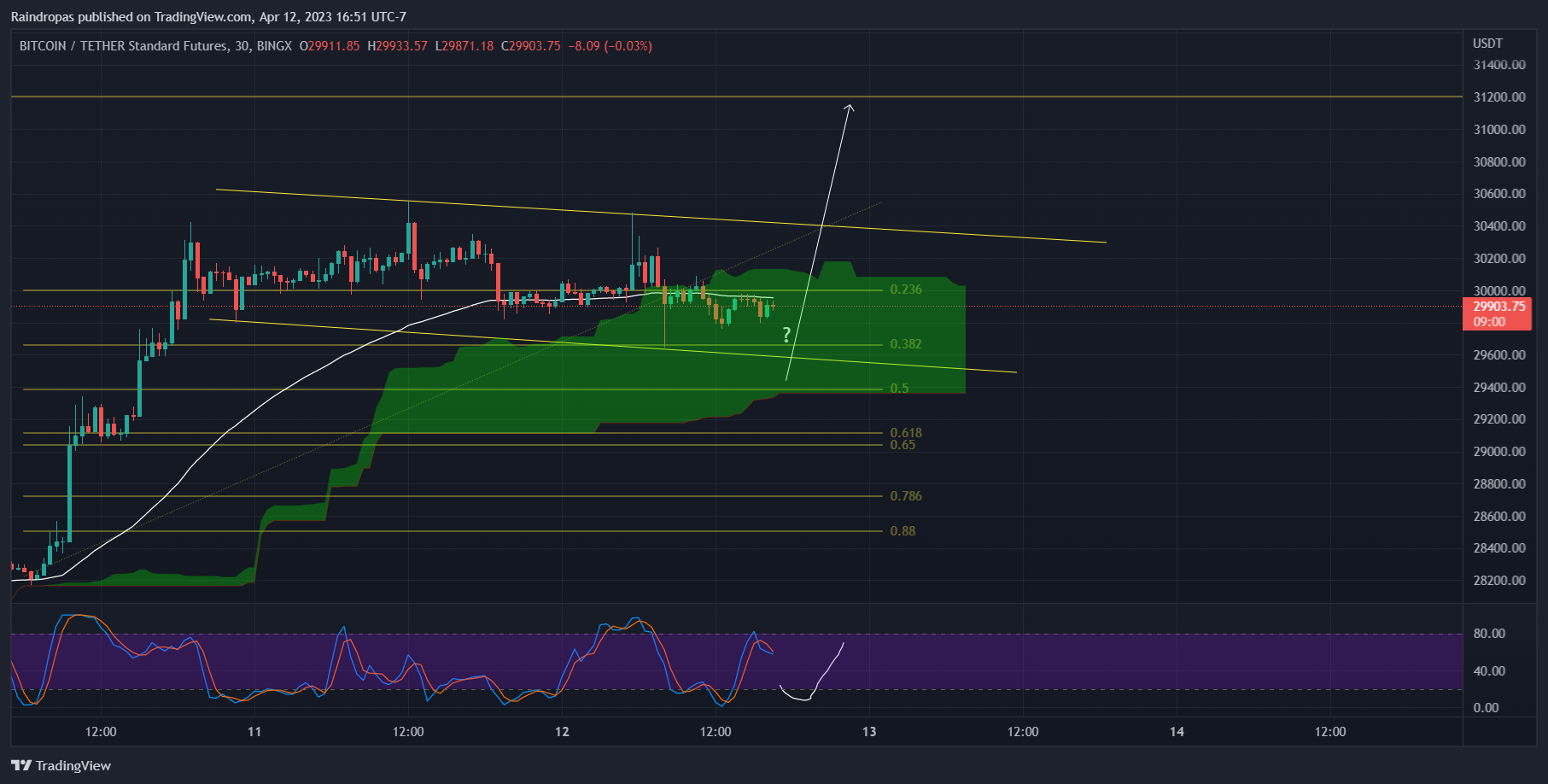 BINGX:BTCUSDT.PS Chart Image by Raindropas