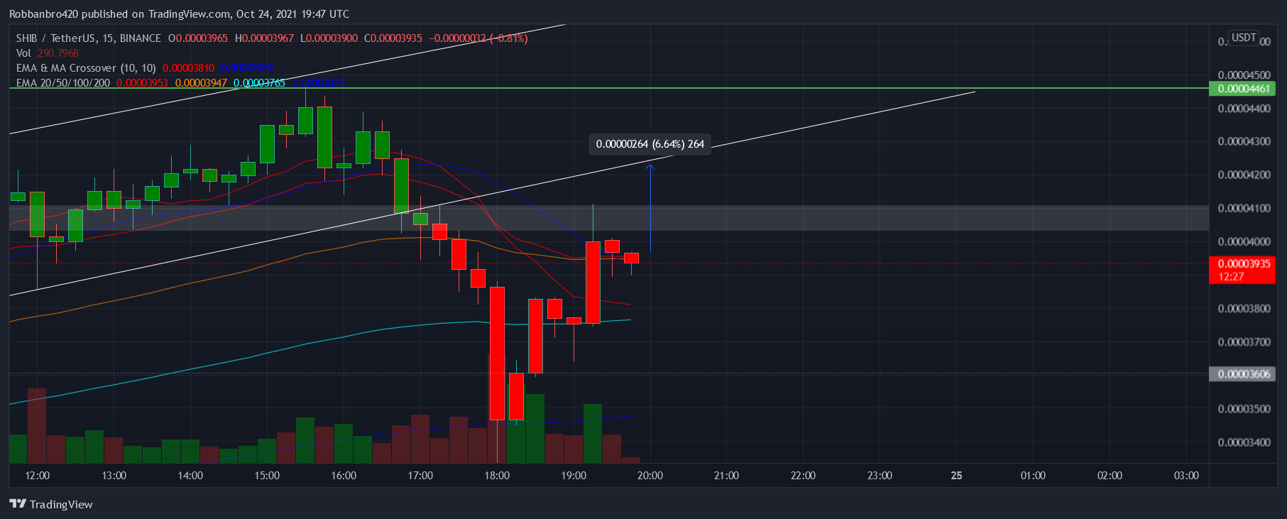 BINANCE:SHIBUSDT Chart Image by Robbanbro420