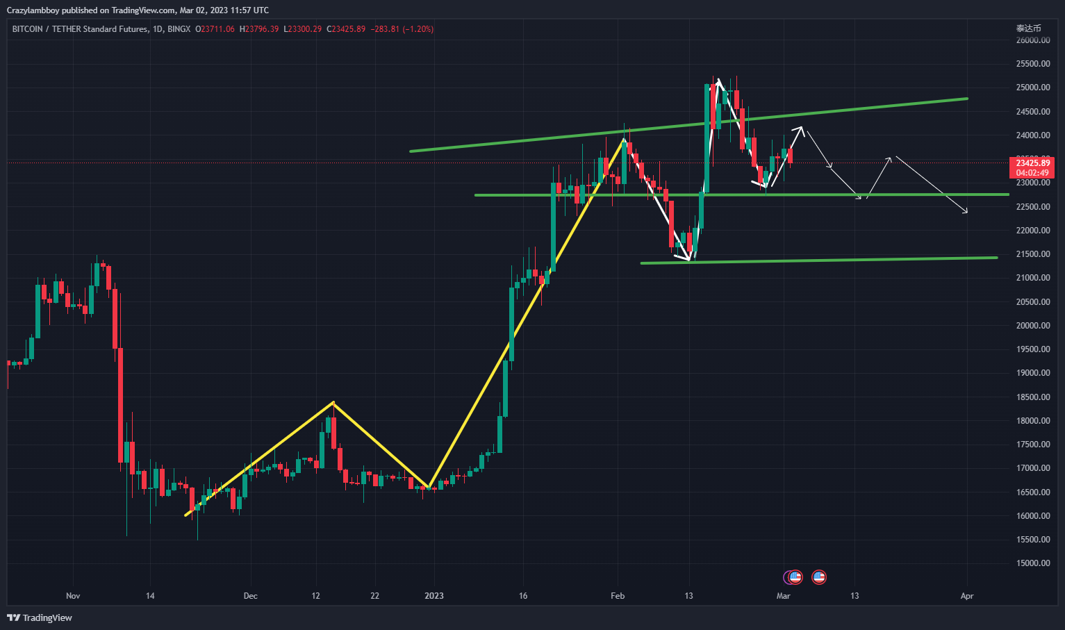 BINGX:BTCUSDT Chart Image by Crazylambboy