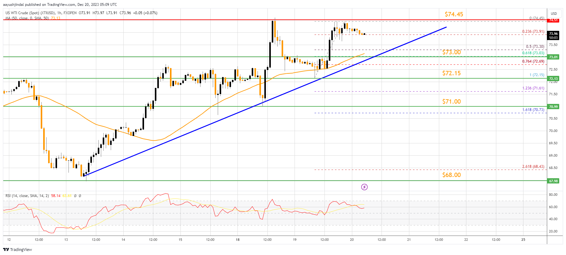 FXOPEN:XTIUSD Chart Image by aayushjindal