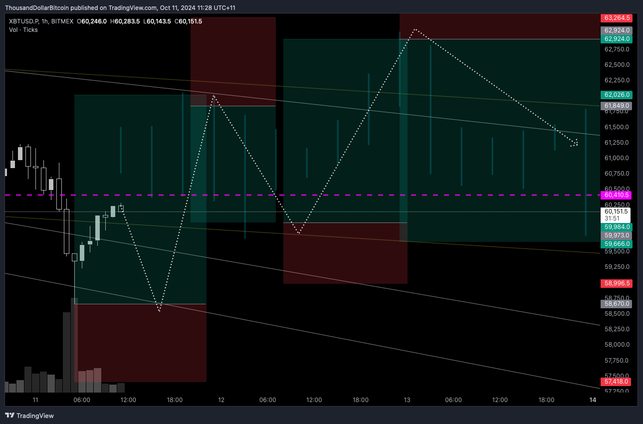 BITMEX:XBTUSD.P Chart Image by ThousandDollarBitcoin
