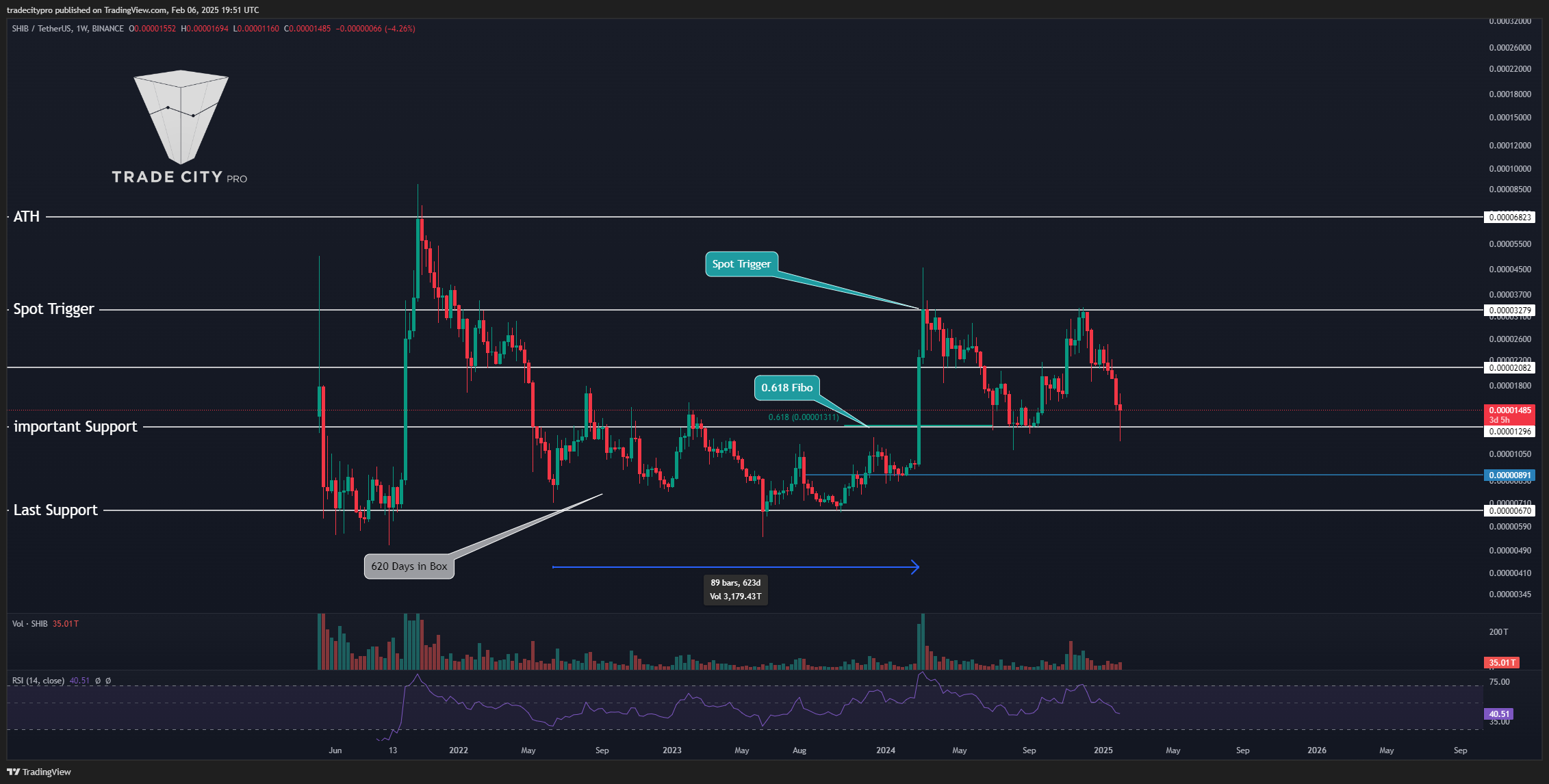 BINANCE:SHIBUSDT Chart Image by tradecitypro