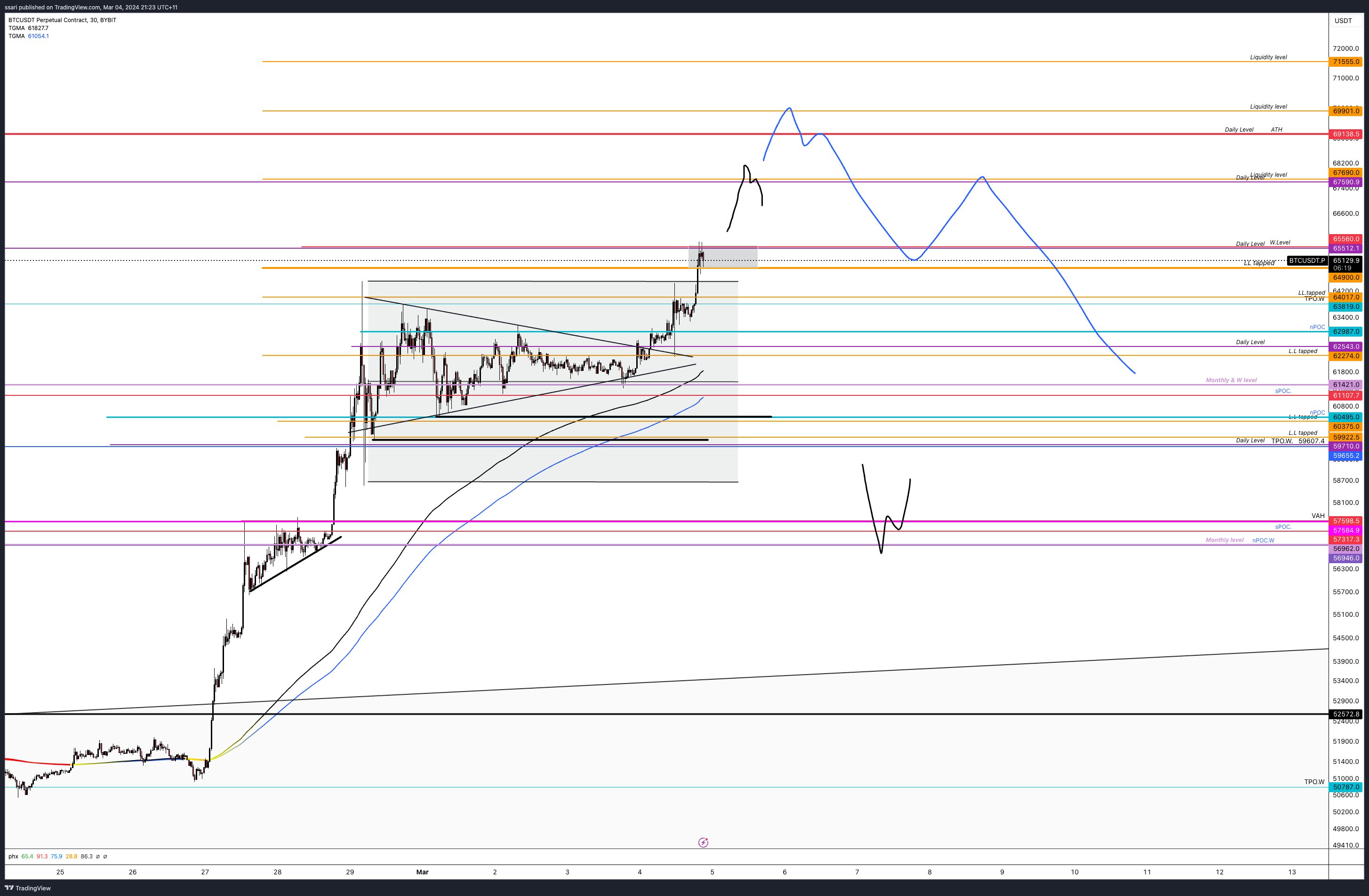 BYBIT:BTCUSDT.P Chart Image by ssari