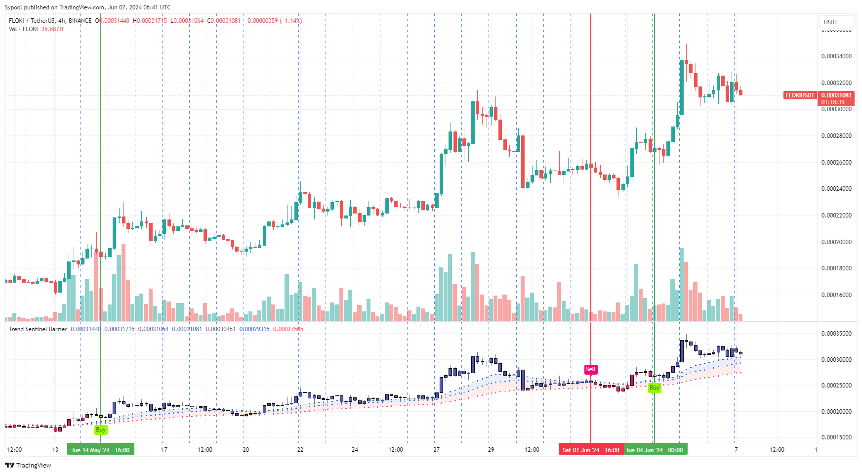 BINANCE:FLOKIUSDT Chart Image by Sypool