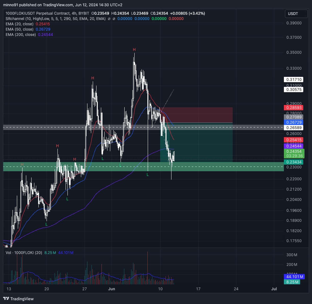 BYBIT:1000FLOKIUSDT.P Chart Image by minno91