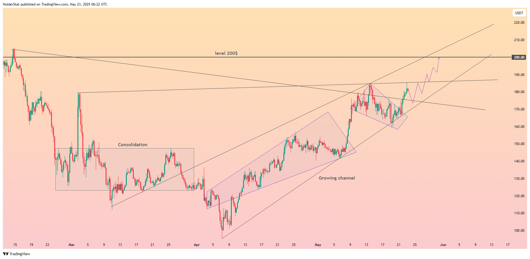 BINANCE:SOLUSDT Chart Image by HolderStat