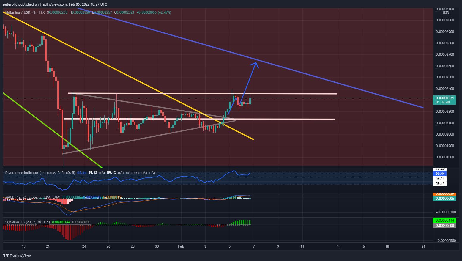 FTX:SHIBUSD Chart Image by peterbhc