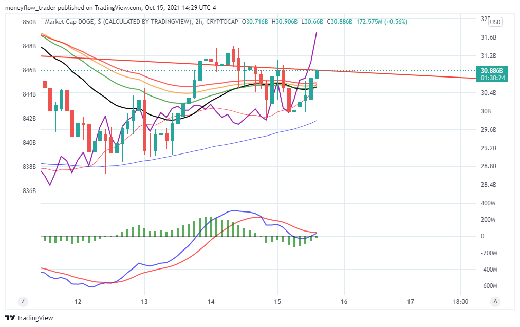 CRYPTOCAP:DOGE Chart Image by moneyflow_trader