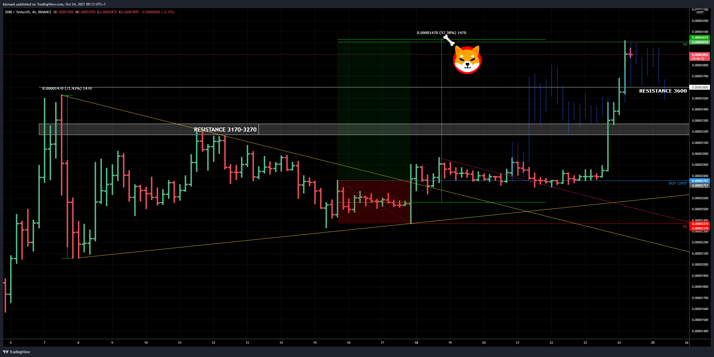 BINANCE:SHIBUSDT Chart Image by bizmark