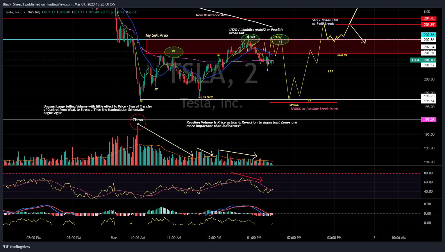 NASDAQ:TSLA Chart Image by Black_Sheep1