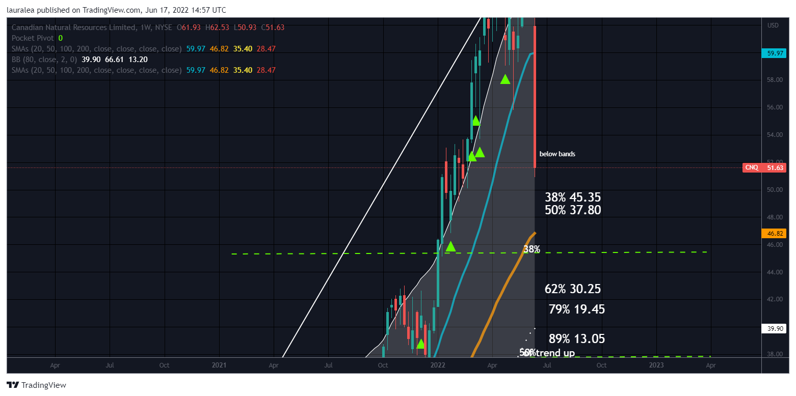 NYSE:CNQ Chart Image by lauralea