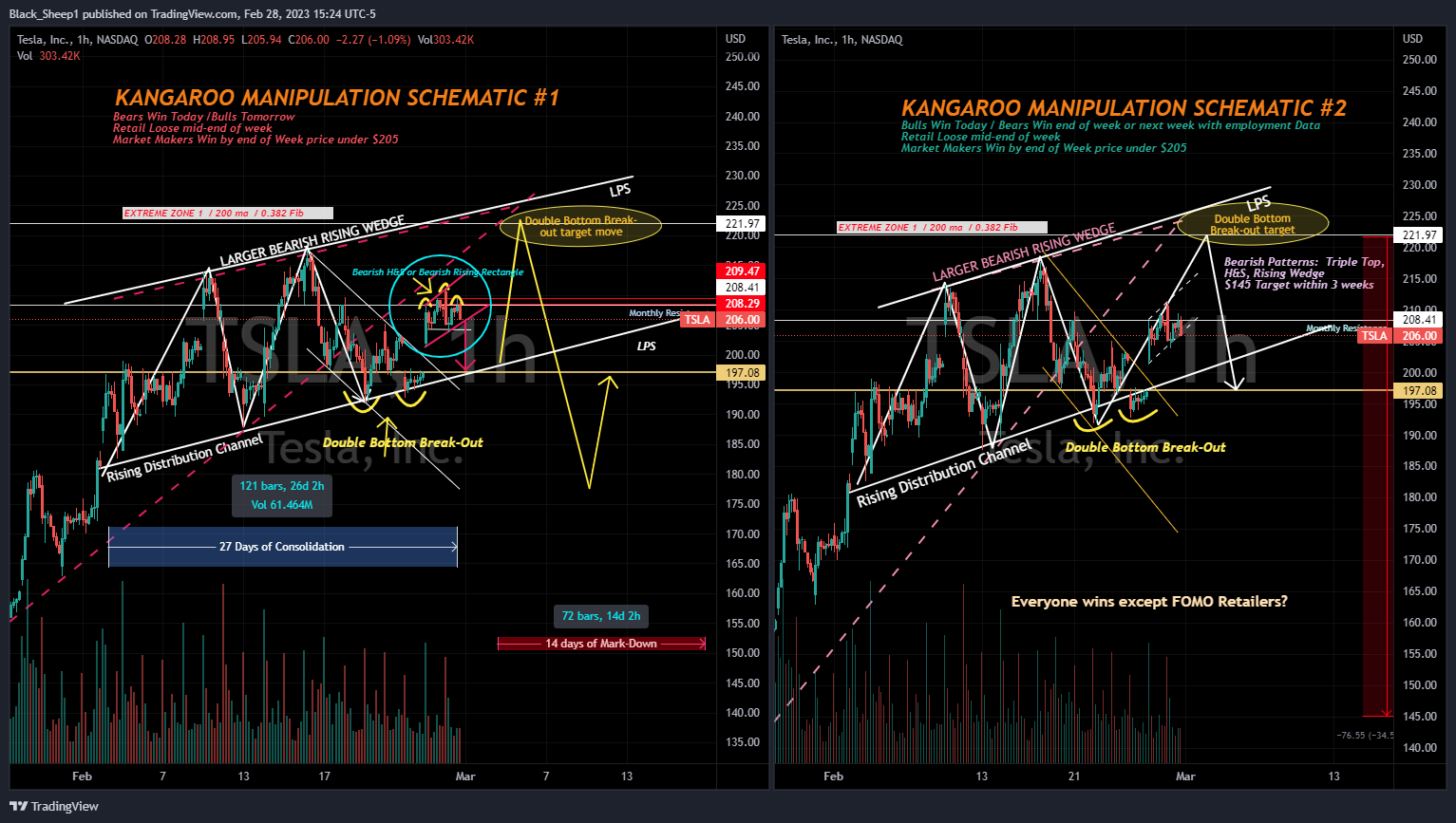 NASDAQ:TSLA Chart Image by Black_Sheep1
