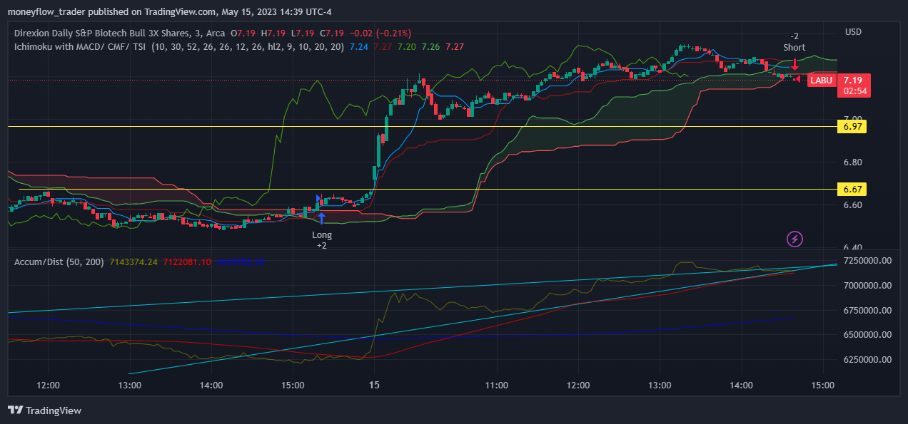 AMEX:LABU Chart Image by moneyflow_trader