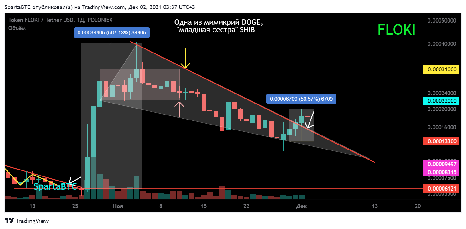 POLONIEX:FLOKIUSDT Chart Image by SpartaBTC